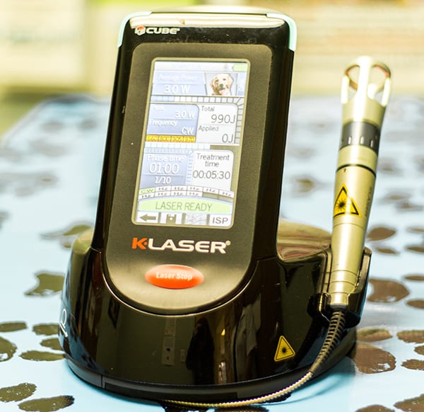 Pet Laser Therapy in Monongahela: K-Laser